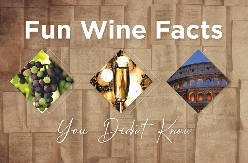 Interesting Facts That You Didn’t Know About Wines